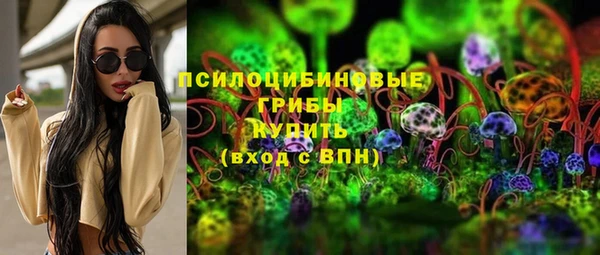 прущий лед Аркадак