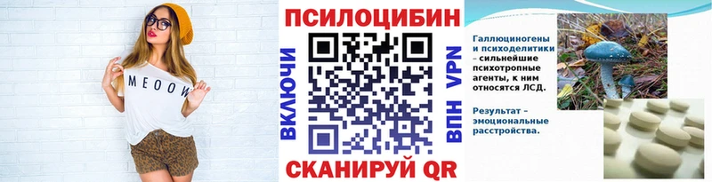 как найти закладки  Дыгулыбгей  Псилоцибиновые грибы Psilocybine cubensis 